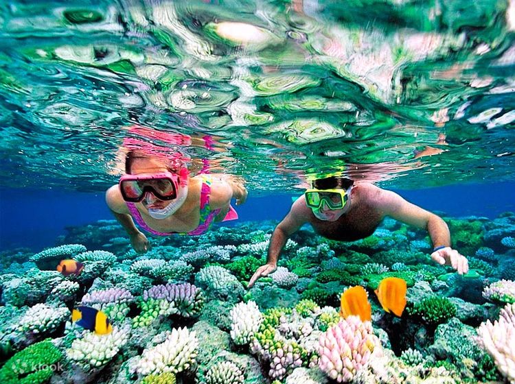 Scuba