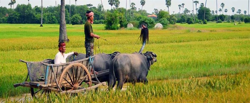 Agri