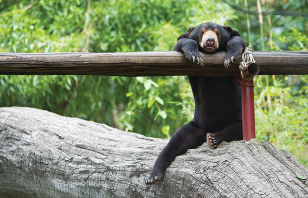 Zoo